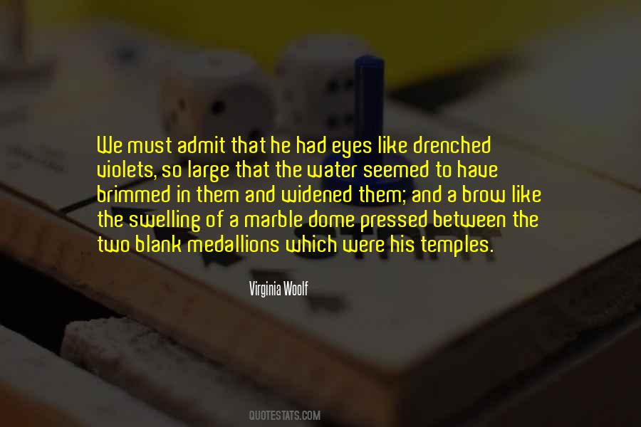 Bird Eye View Quotes #1787142