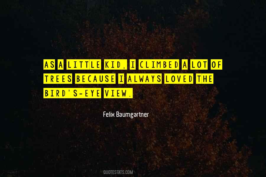 Bird Eye View Quotes #251004