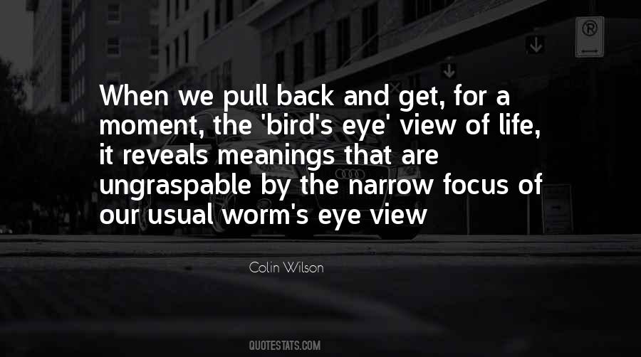 Bird Eye View Quotes #968001