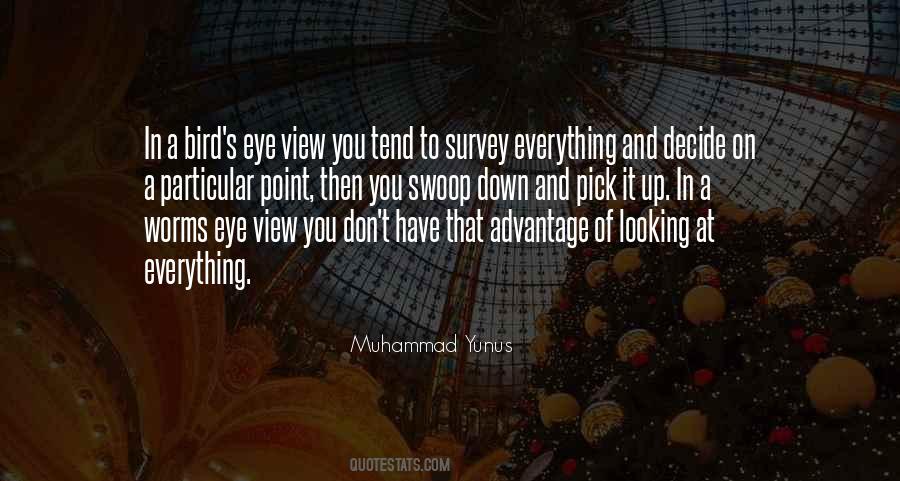 Bird Eye View Quotes #992207