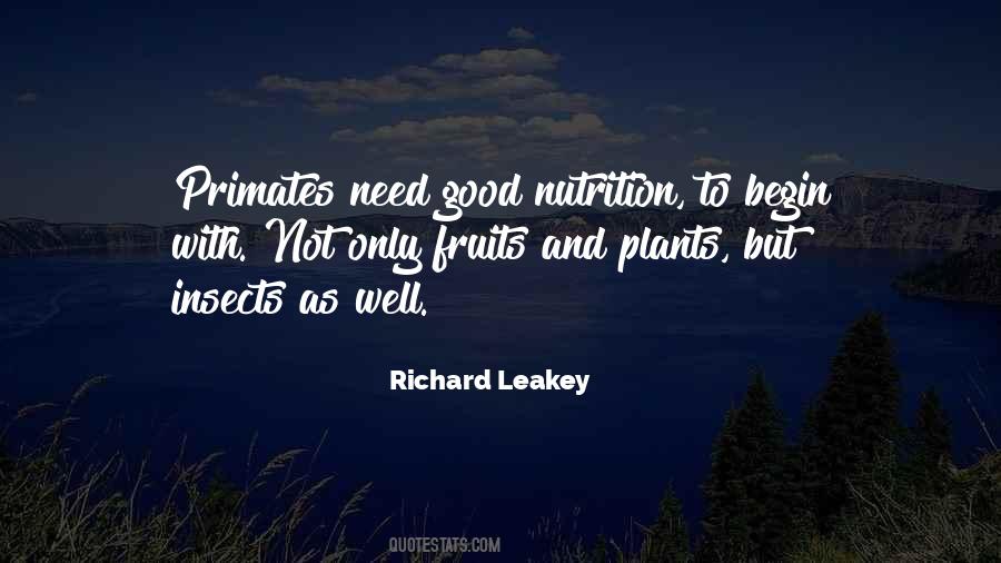 Quotes About Good Insects #1176828