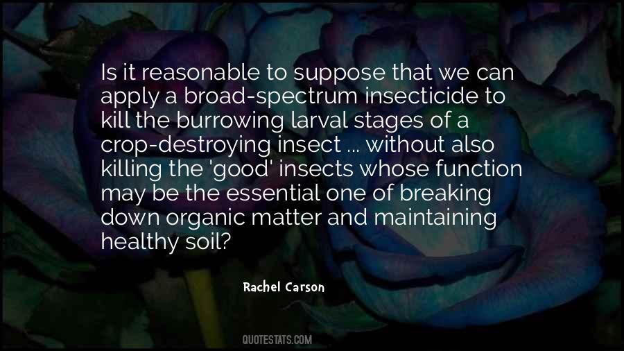 Quotes About Good Insects #755022