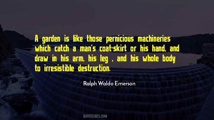 Man Body Quotes #133037