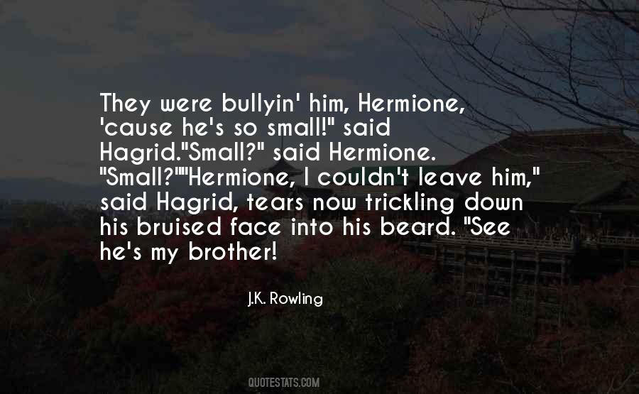 Brother Small Quotes #1068668