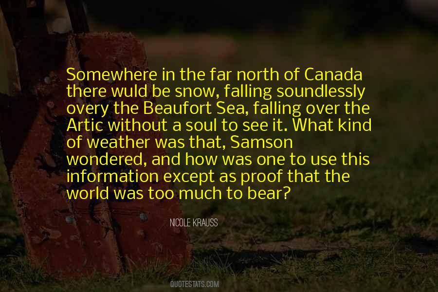 Far North Quotes #439924