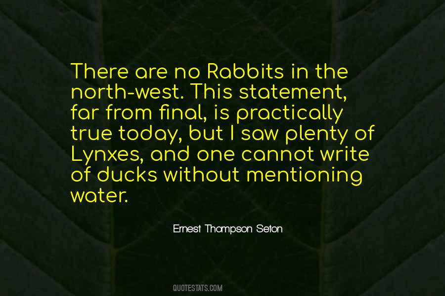 Far North Quotes #920434