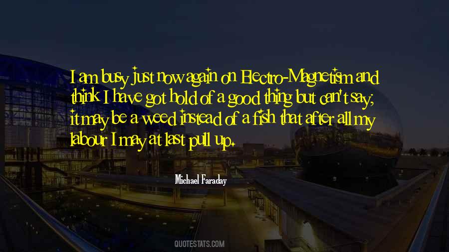 Faraday Michael Quotes #445012