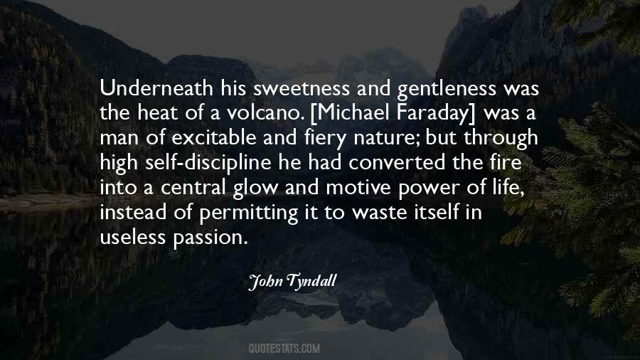 Faraday Michael Quotes #750035