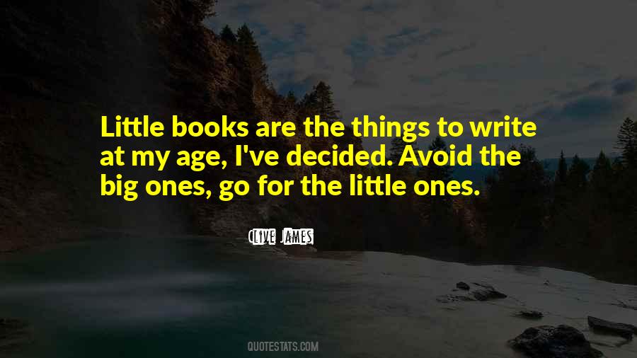 The Little Things Are The Big Things Quotes #1717628
