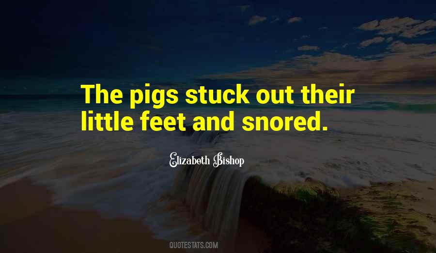 Quotes About The Pigs #76370