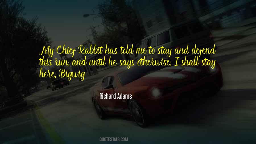 Run Rabbit Run Quotes #1853760