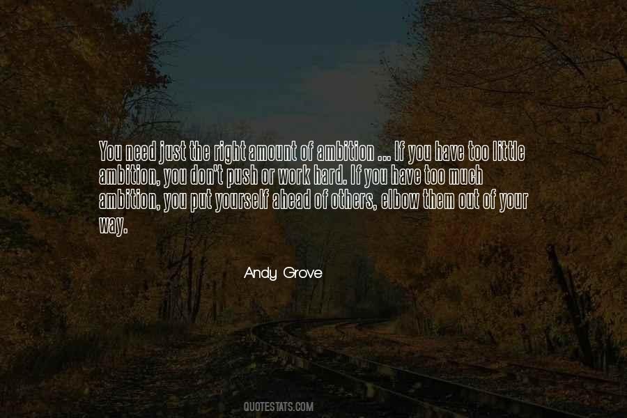 Quotes About Your Ambition #1004018