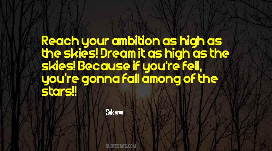 Quotes About Your Ambition #34037