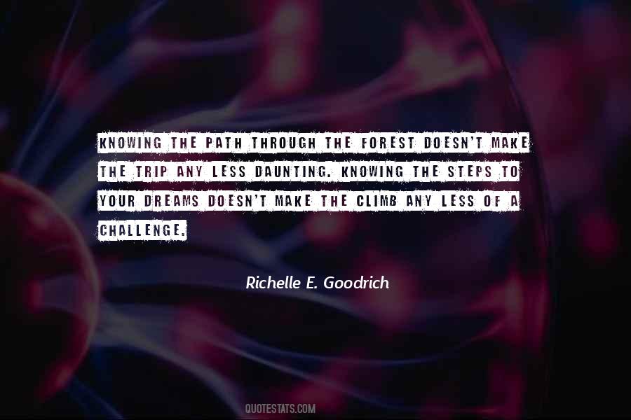 Quotes About Your Ambition #508792