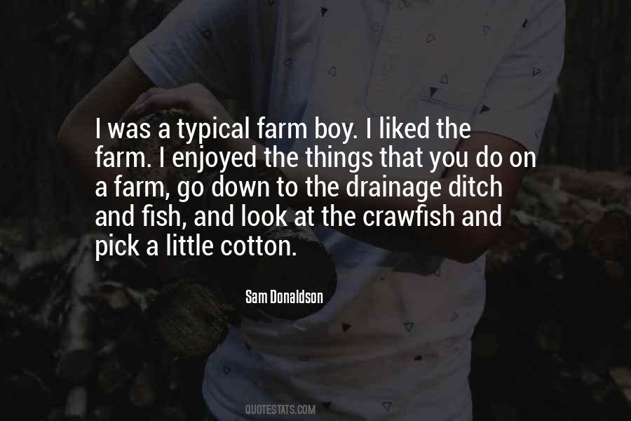 Farm Boy Quotes #1435846