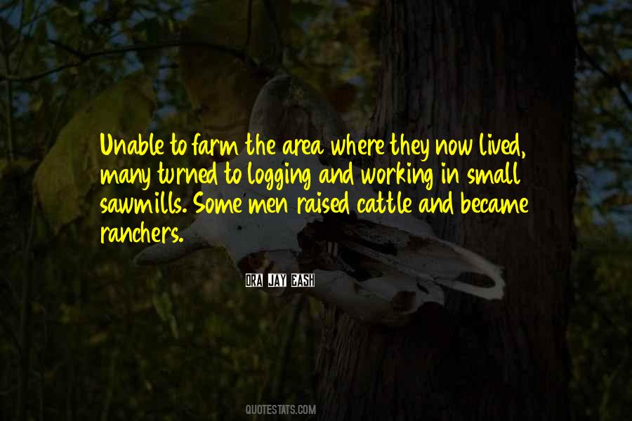 Farm Boy Quotes #8367