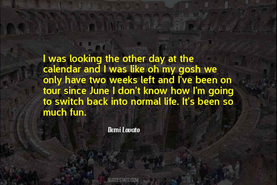 Looking Back At My Life Quotes #997798