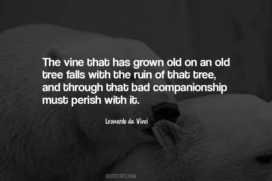 Old Vine Quotes #979455