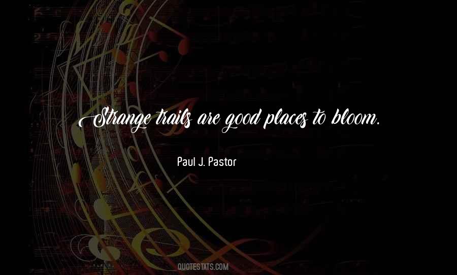 A Good Pastor Quotes #1604029