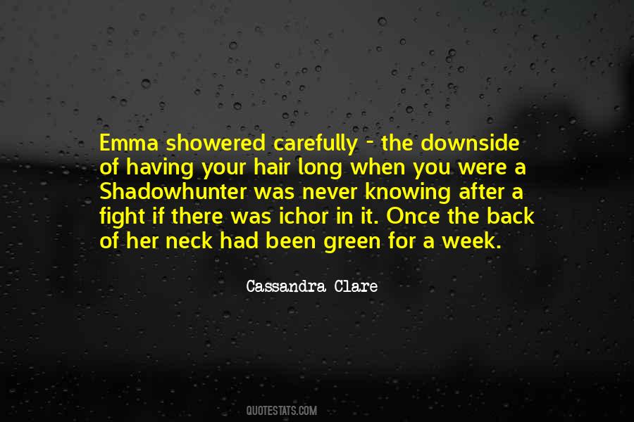 After Fight Quotes #229692
