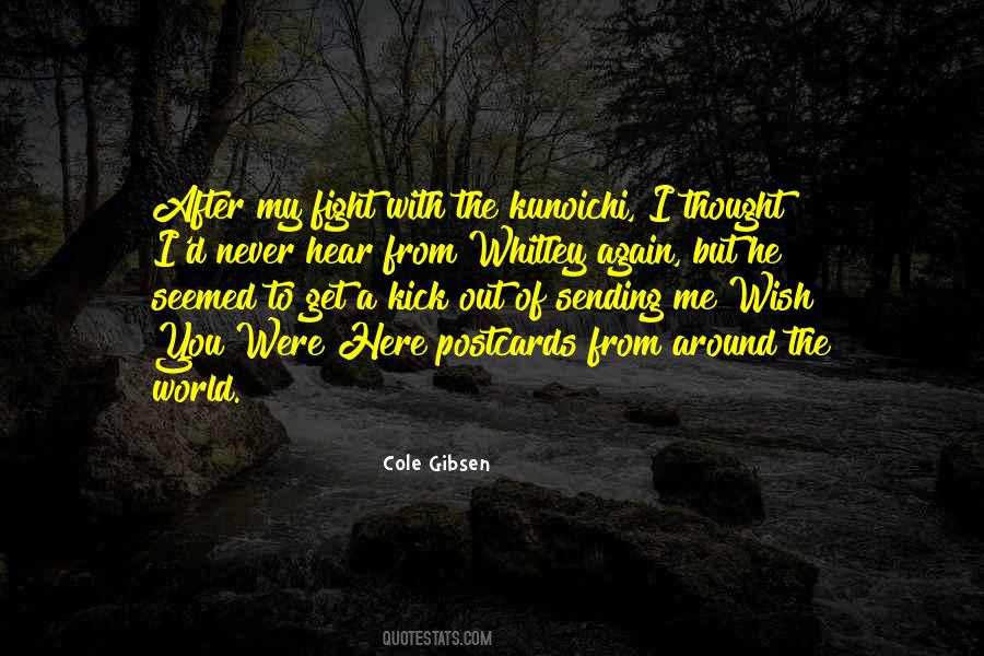After Fight Quotes #742652