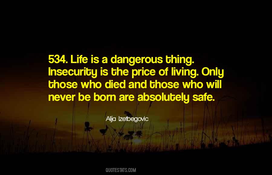 The Safe Life Quotes #1795452
