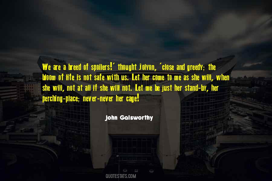 The Safe Life Quotes #730856
