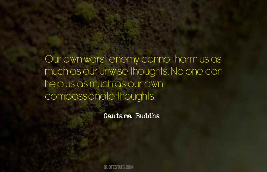 I Am My Own Worst Enemy Quotes #264534