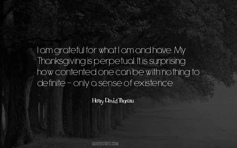 Grateful For What I Have Quotes #906288