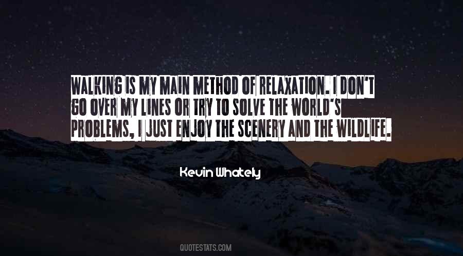 Enjoy Your Problems Quotes #1649397