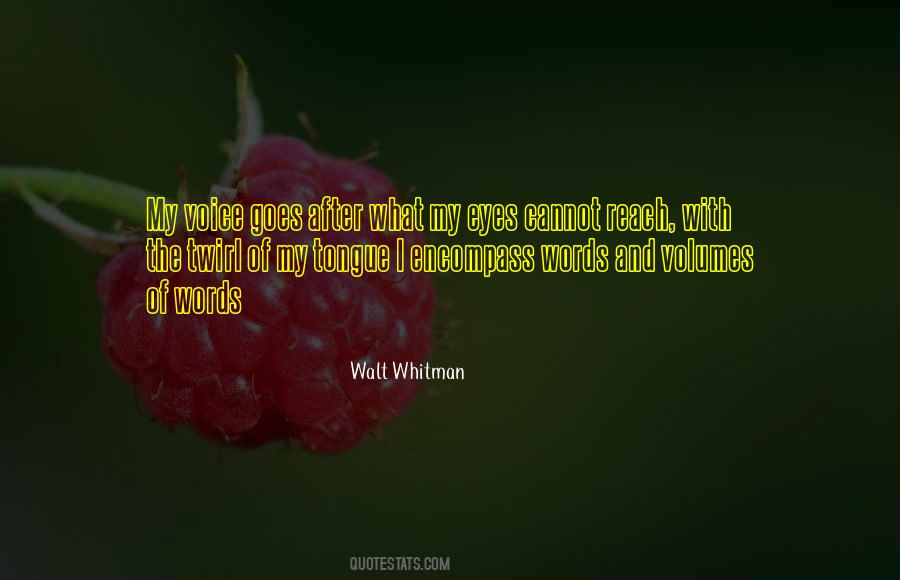 Words After Quotes #1242889