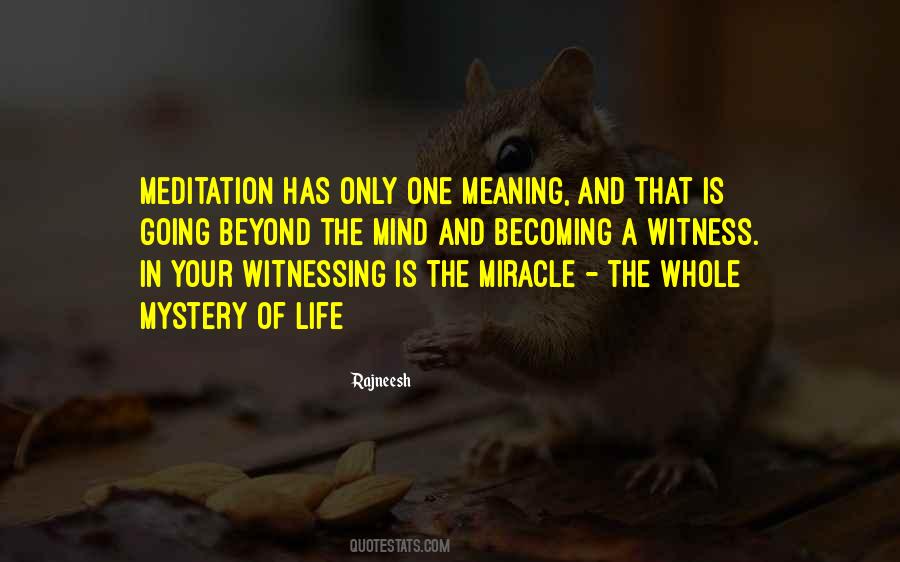 Miracle In Life Quotes #90664