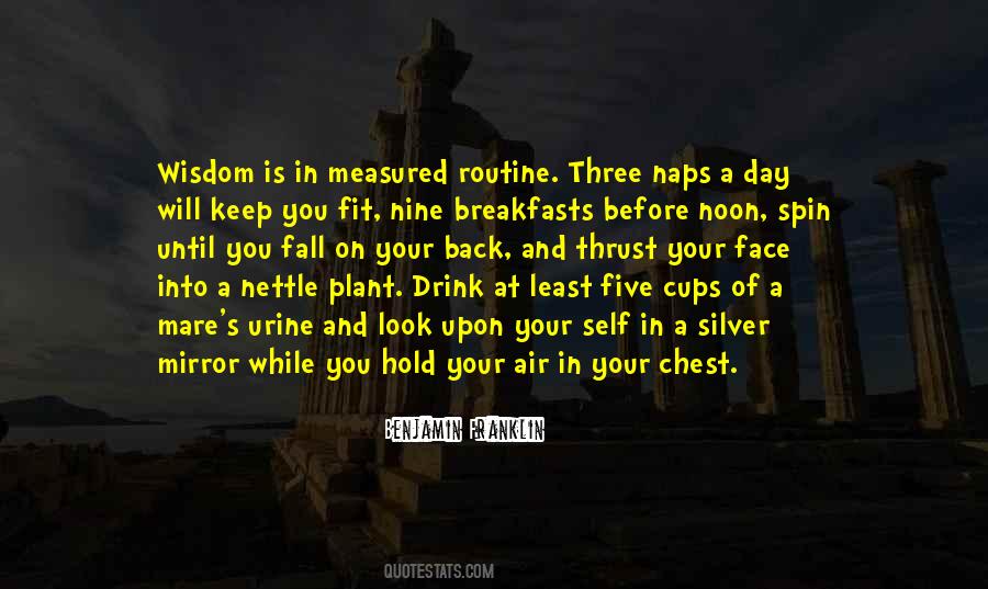 Quotes About Fall Air #1359148