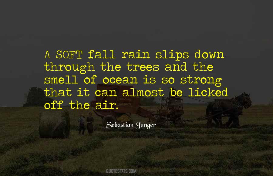Quotes About Fall Air #336372
