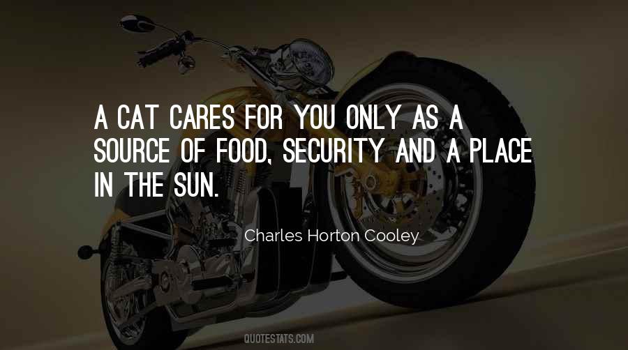 Cooking For You Quotes #499396