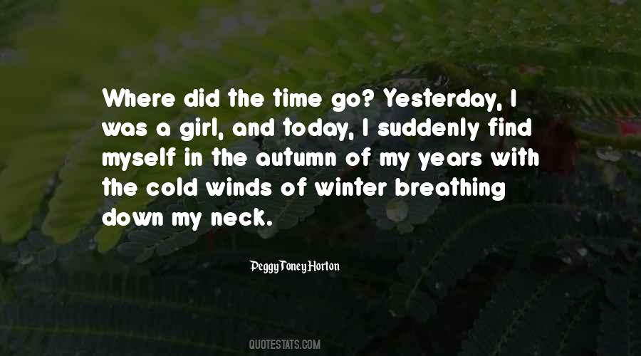 Where Did The Years Go Quotes #844826