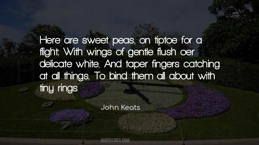 Wings With Quotes #1327482