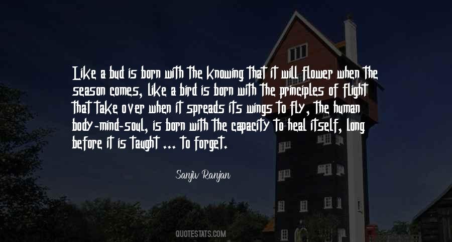 Wings With Quotes #953452