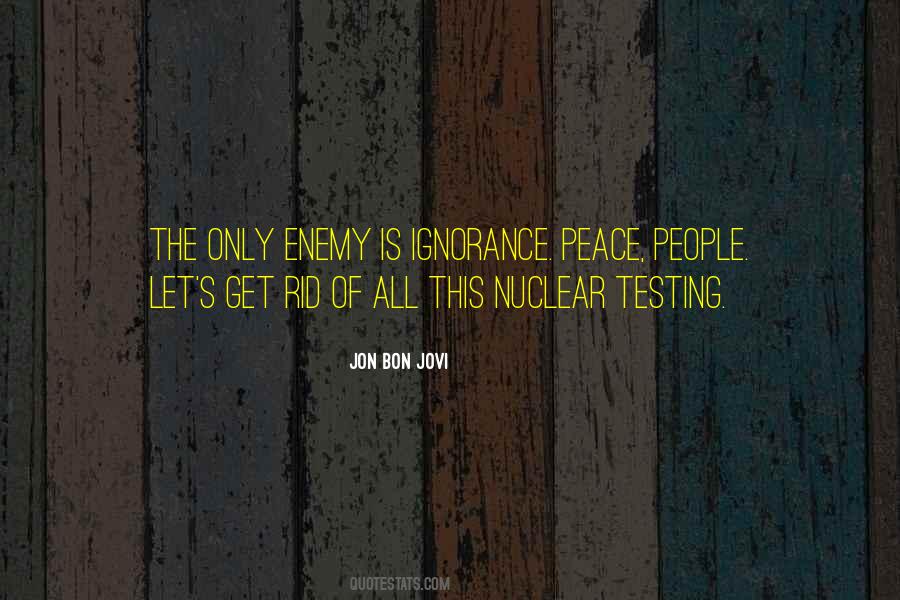 When You Are At Peace With Yourself Quotes #14272