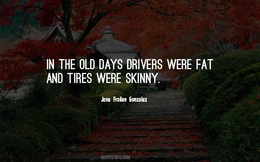 Fat To Skinny Quotes #346000