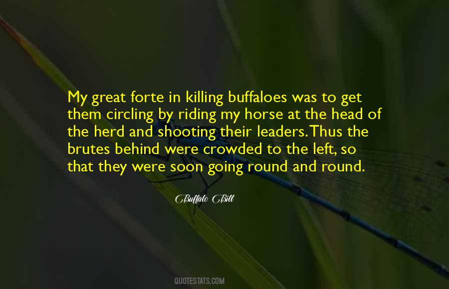 Quotes About Herd #1352419
