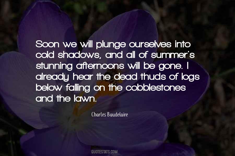 Cold Summer Quotes #1669538