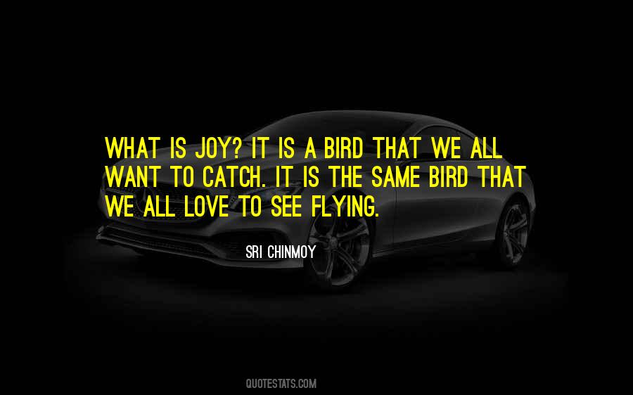 Love Flying Quotes #1520866