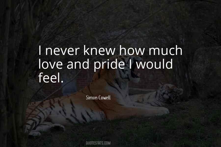 How I Feel Love Quotes #1132146