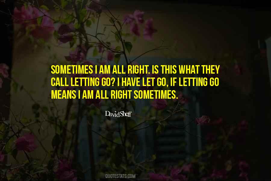 Sometimes Letting Go Quotes #880229