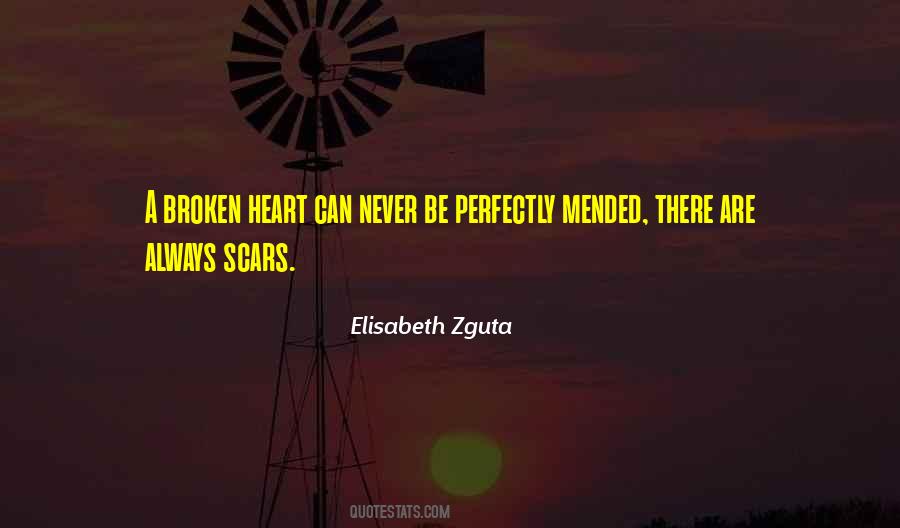 Heart Scars Quotes #1243290