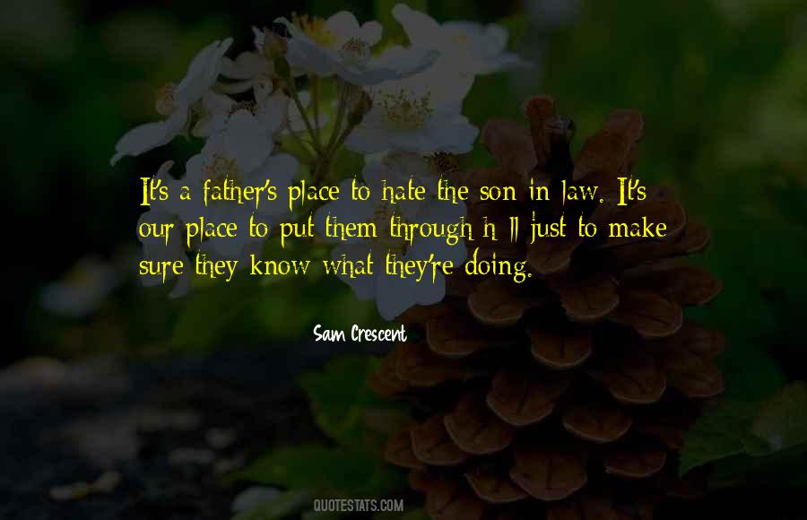 Father And Son In Law Quotes #845531