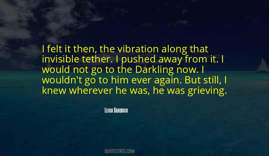 The Vibration Quotes #739249