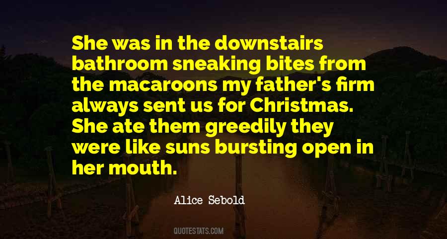 Father Christmas Quotes #323891