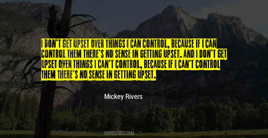 Over Things Quotes #1139040